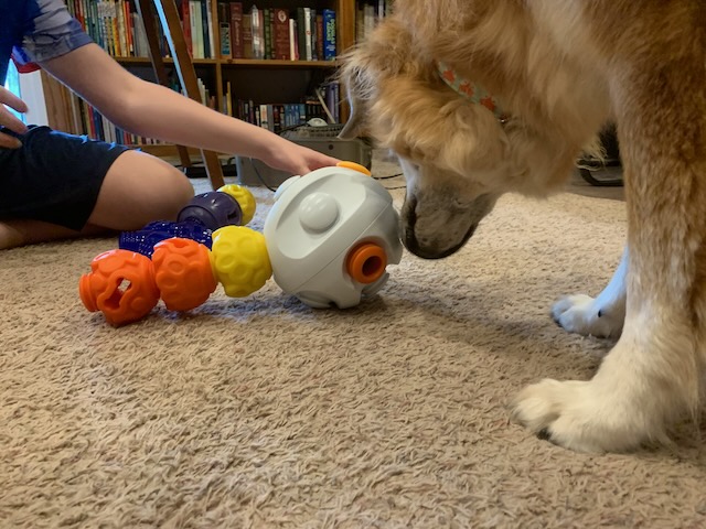 Product Review: K9 Connectables