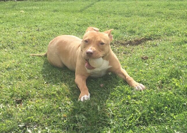 1585FB1A-EC34-4D34-B04D-35AA79DEA010_1_105_c